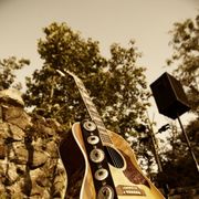 Insel Schwanau, September 2012