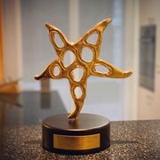 Die Prix Walo Verleihung ist zwar schon länger her, jetzt durfte ich ihn doch noch nach Hause holen... :-) Oktober 2020